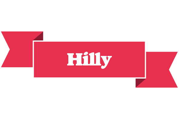 Hilly sale logo