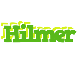 Hilmer picnic logo