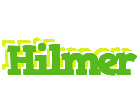 Hilmer picnic logo