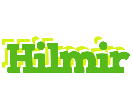 Hilmir picnic logo