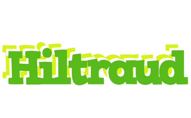 Hiltraud picnic logo