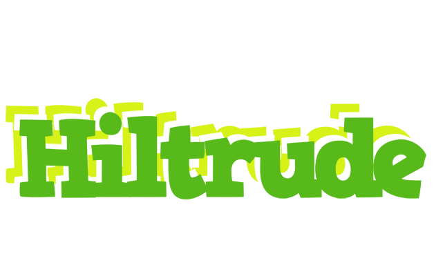 Hiltrude picnic logo