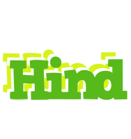 Hind picnic logo