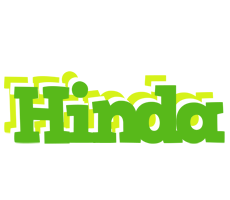 Hinda picnic logo