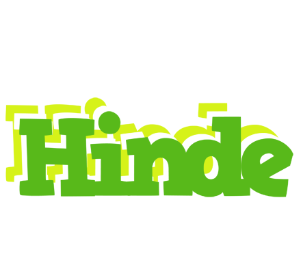Hinde picnic logo