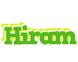 Hiram picnic logo