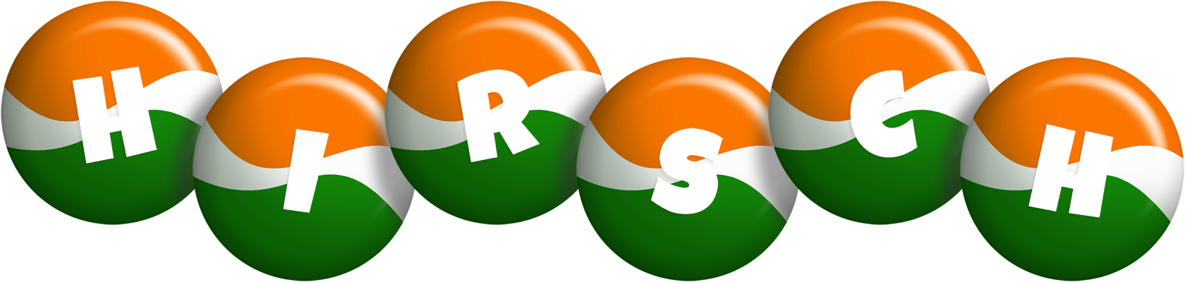Hirsch india logo