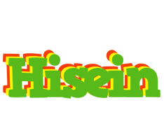 Hisein crocodile logo