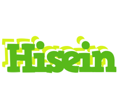 Hisein picnic logo