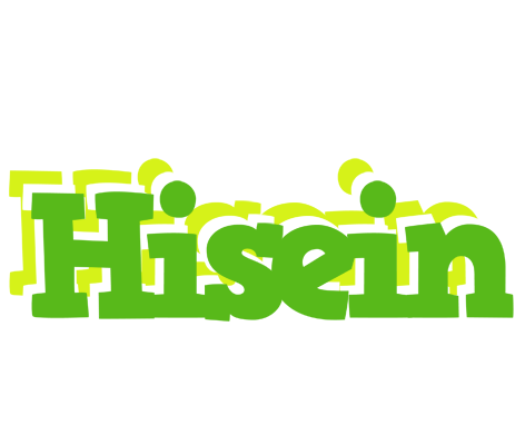 Hisein picnic logo