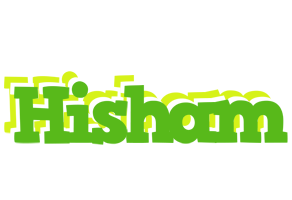 Hisham picnic logo
