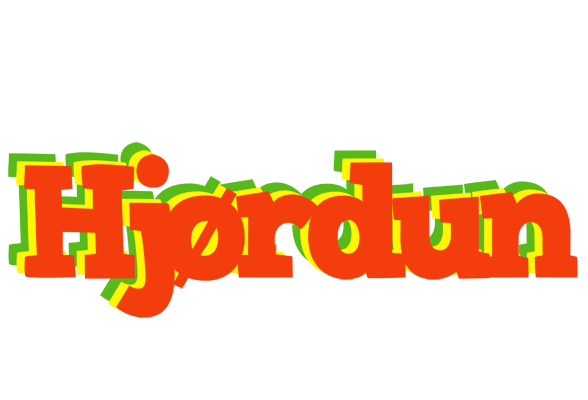 Hjørdun bbq logo