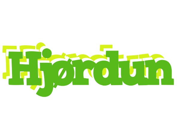 Hjørdun picnic logo