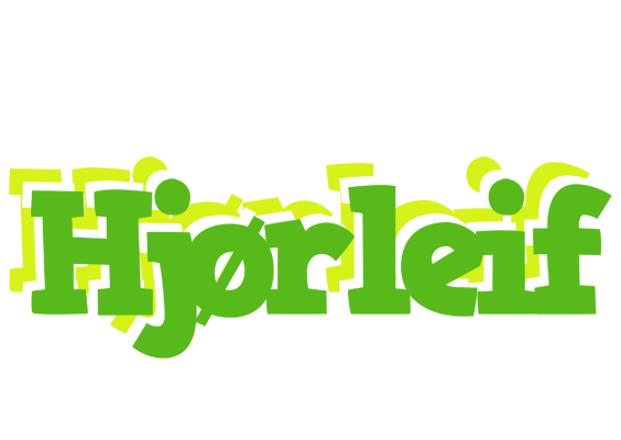 Hjørleif picnic logo