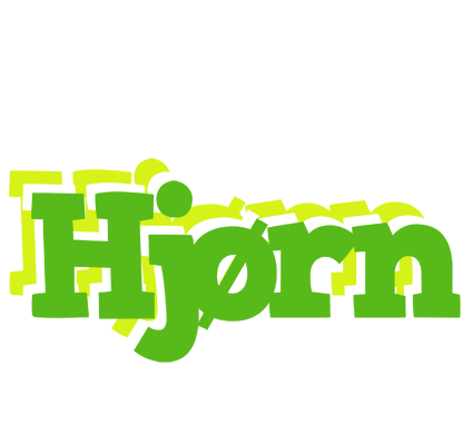 Hjørn picnic logo