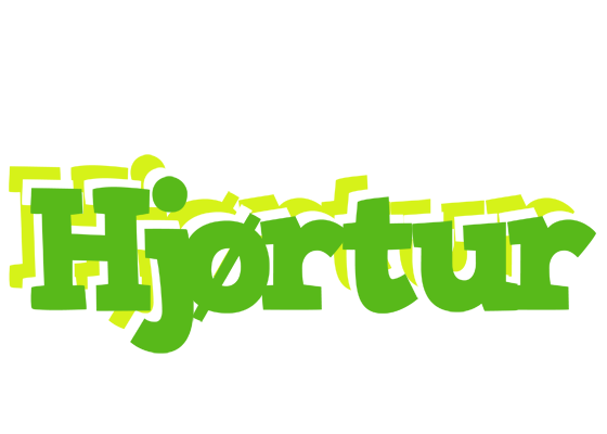 Hjørtur picnic logo