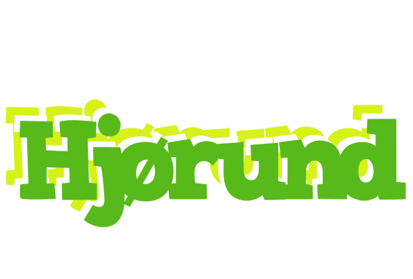 Hjørund picnic logo