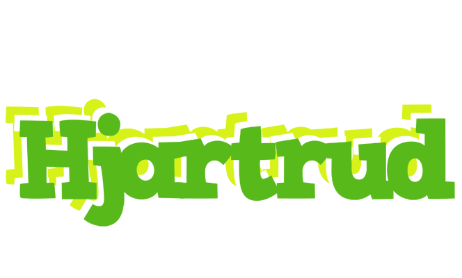 Hjartrud picnic logo