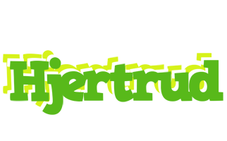 Hjertrud picnic logo