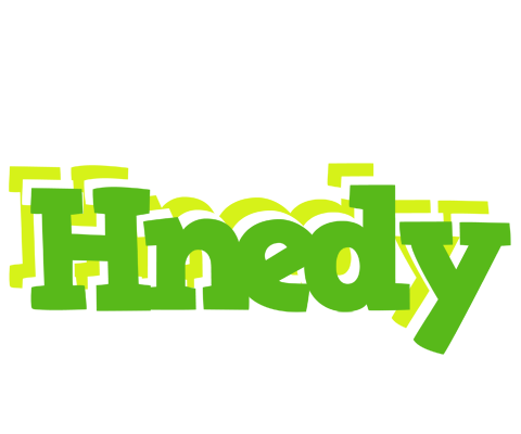 Hnedy picnic logo