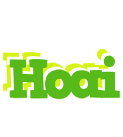 Hoai picnic logo