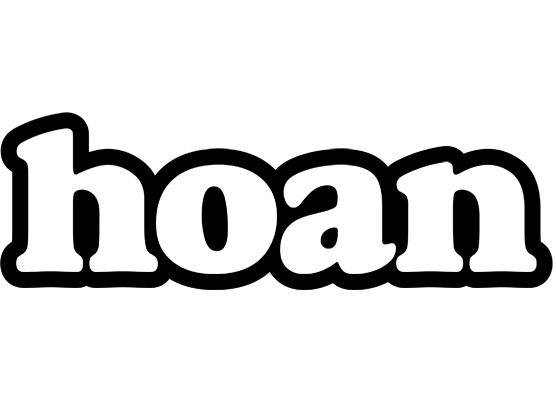 Hoan panda logo