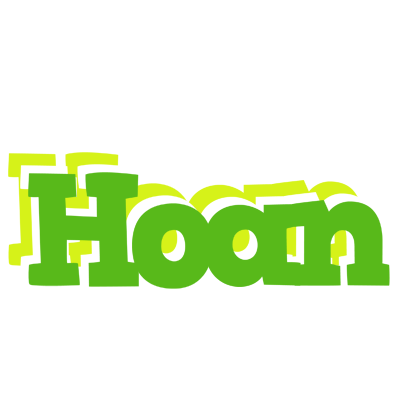 Hoan picnic logo