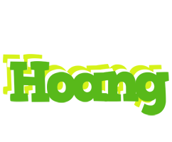 Hoang picnic logo