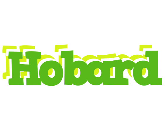 Hobard picnic logo
