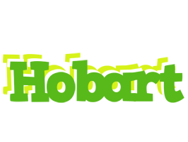 Hobart picnic logo