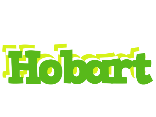 Hobart picnic logo