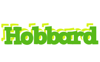 Hobbard picnic logo