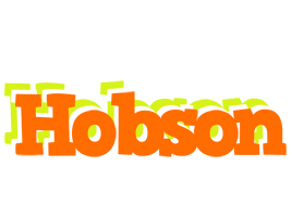 Hobson healthy logo