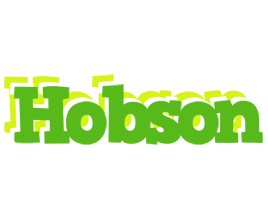 Hobson picnic logo