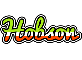 Hobson superfun logo