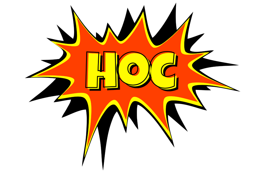 Hoc bazinga logo