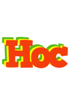 Hoc bbq logo