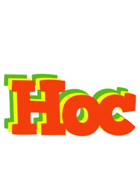 Hoc bbq logo