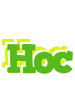 Hoc picnic logo