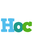Hoc rainbows logo