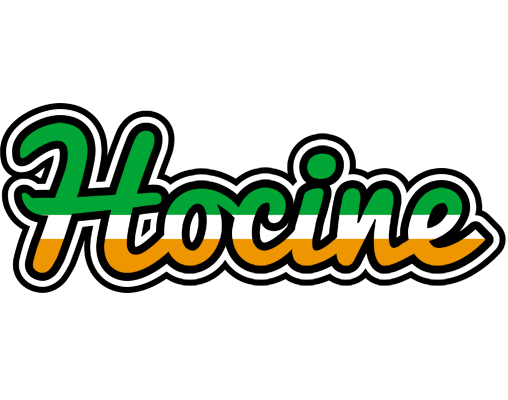 Hocine ireland logo
