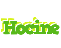 Hocine picnic logo