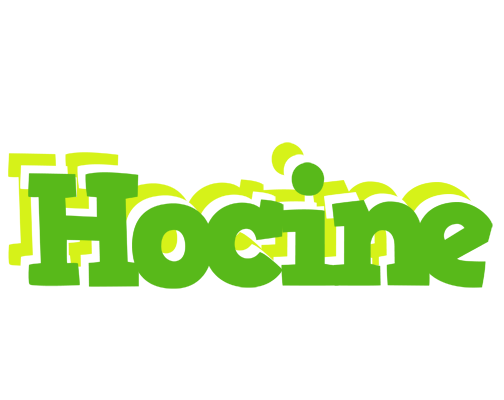 Hocine picnic logo