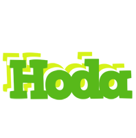 Hoda picnic logo