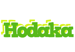 Hodaka picnic logo