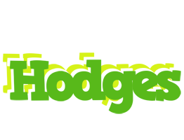 Hodges picnic logo