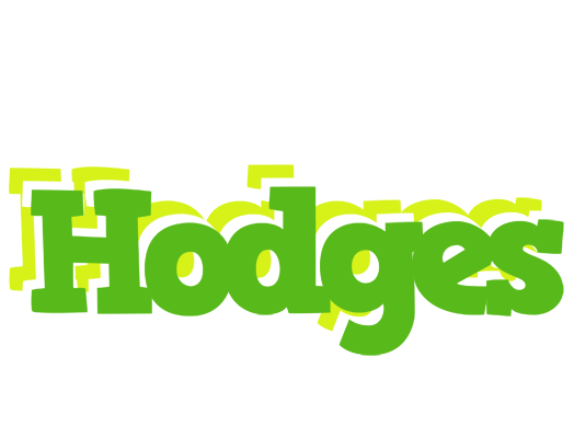 Hodges picnic logo