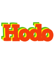 Hodo bbq logo