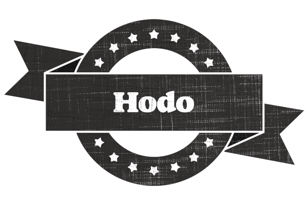 Hodo grunge logo