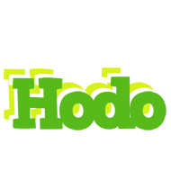 Hodo picnic logo